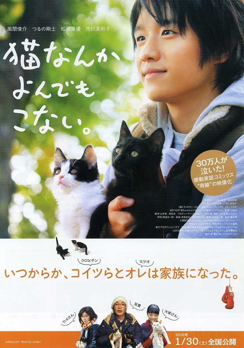 2016年日本8.4分剧情片《为什么猫都叫不来》BD日语中字