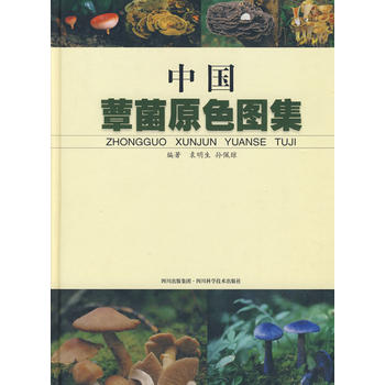 中国蕈菌原色图集PDF,TXT迅雷下载,磁力链接,网盘下载
