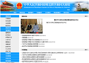 中国驻喀麦隆大使馆官网