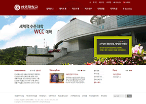 韩国新星大学官网