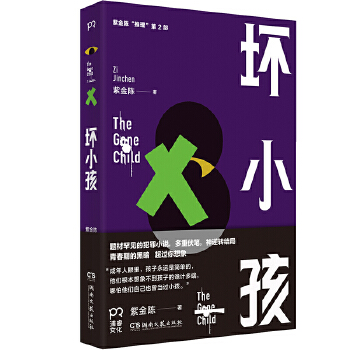 坏小孩PDF,TXT迅雷下载,磁力链接,网盘下载